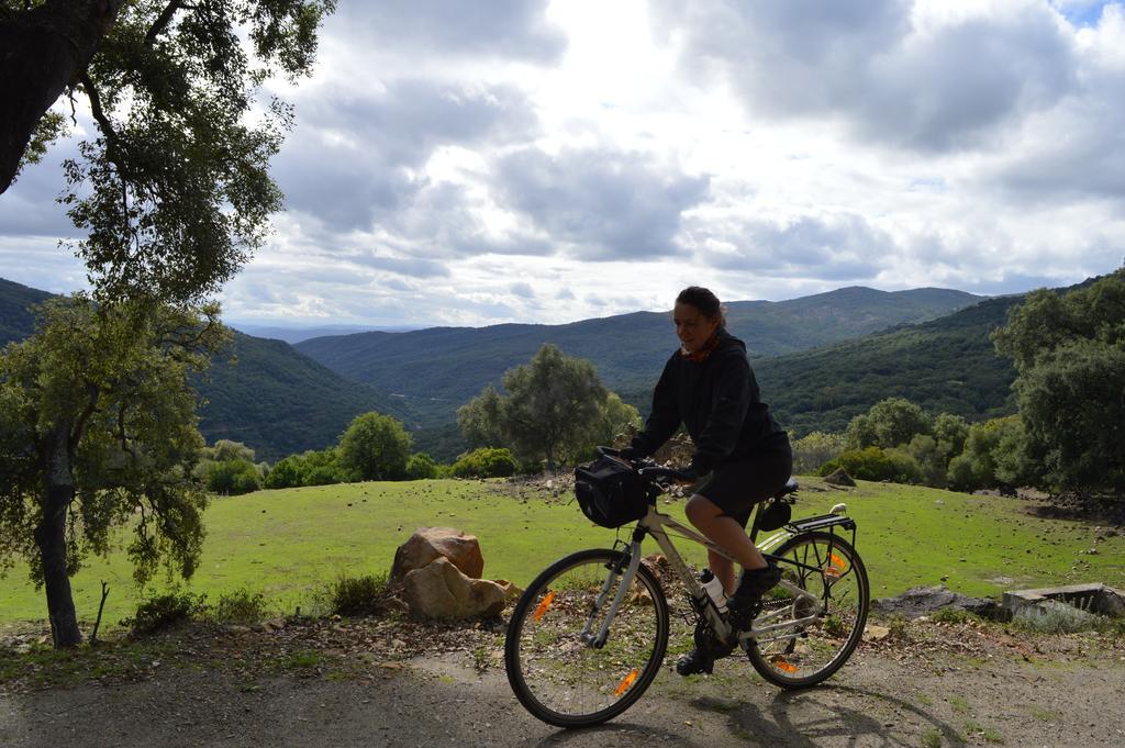 Casa Rural Ahoraya Pensionat El Colmenar Exteriör bild